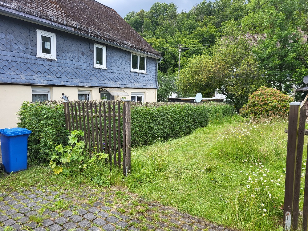 Baum & Heckenschnitt