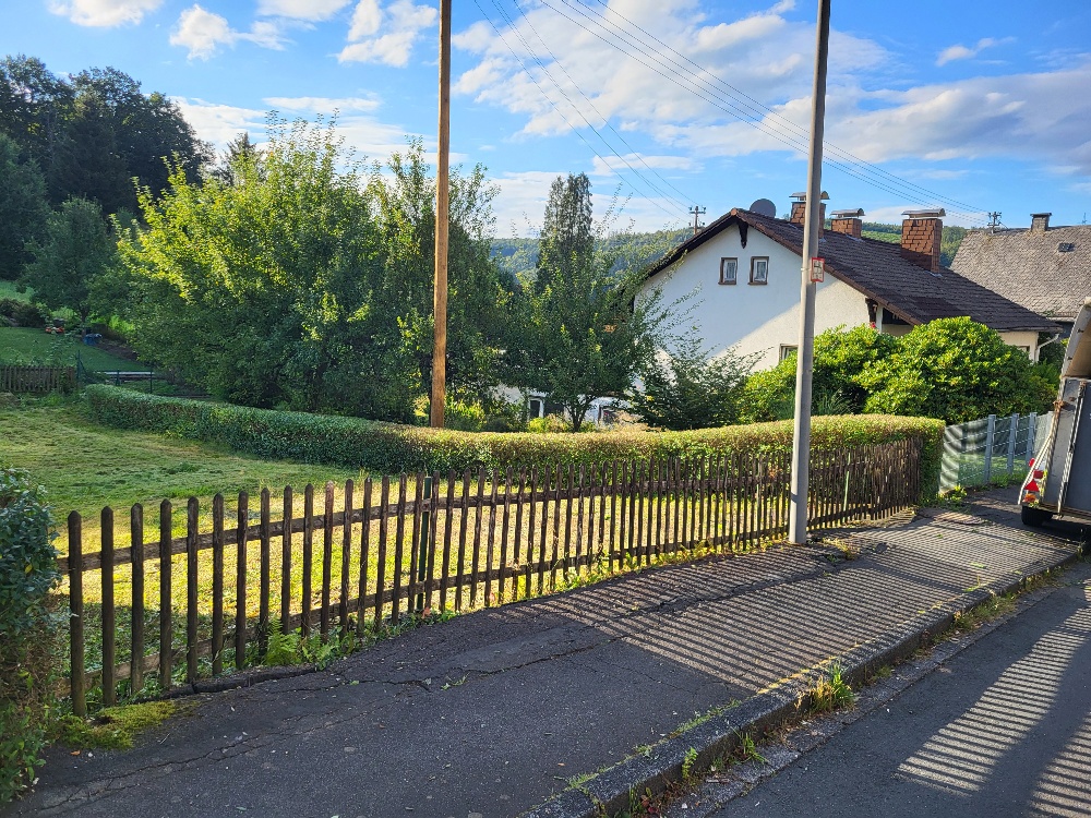 Baum & Heckenschnitt 2