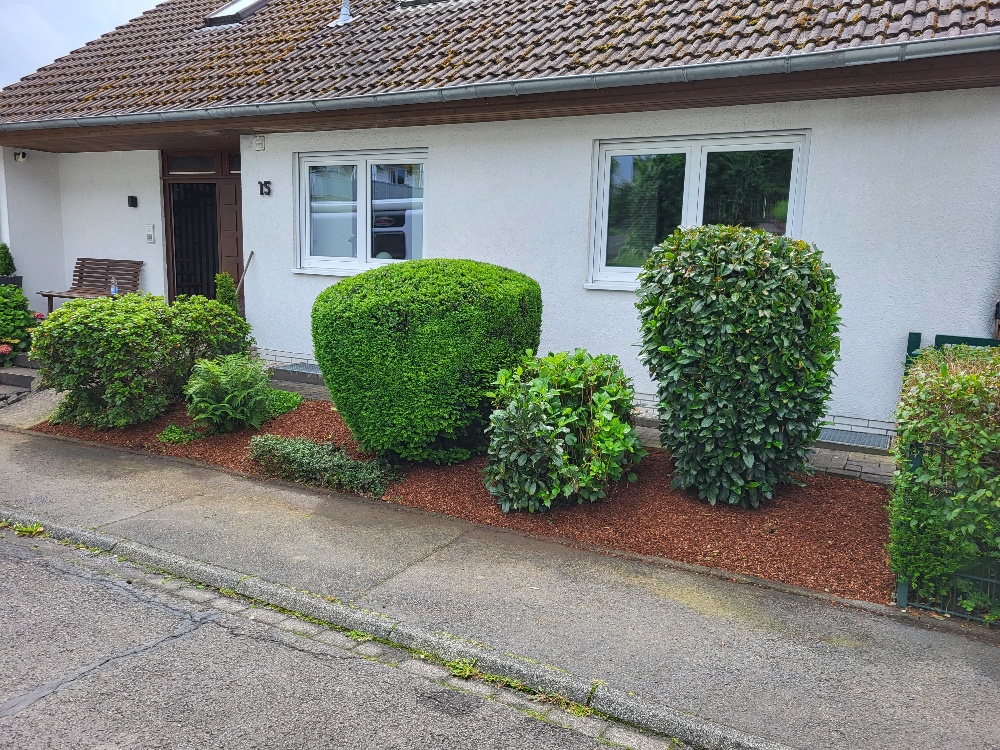 Gehölz -und Formschnitt